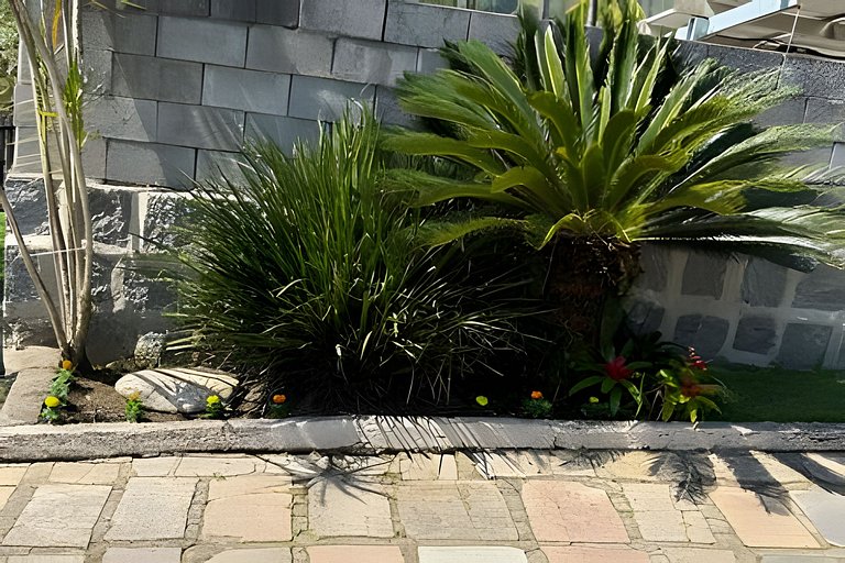 Casa Central ao lado do Zoo!