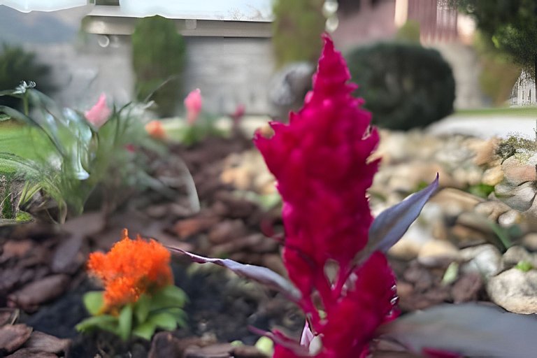 Casa Central ao lado do Zoo!