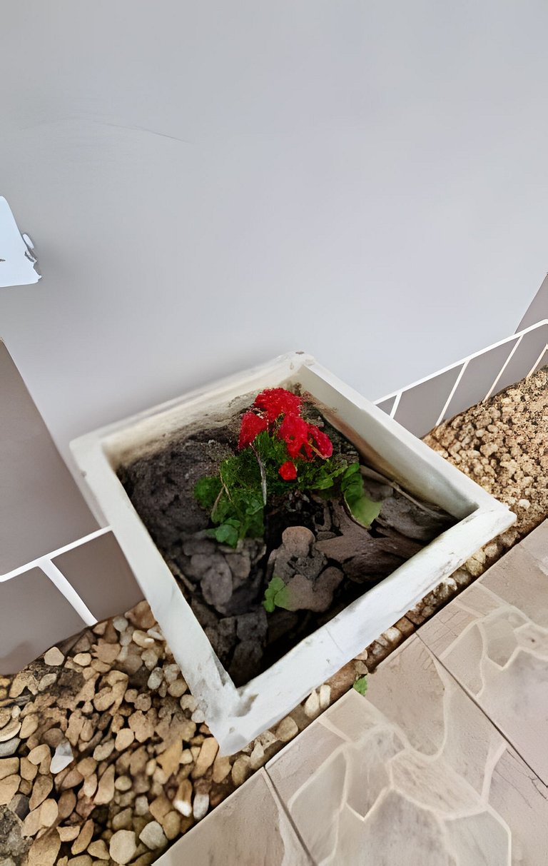 Casa Central ao lado do Zoo!