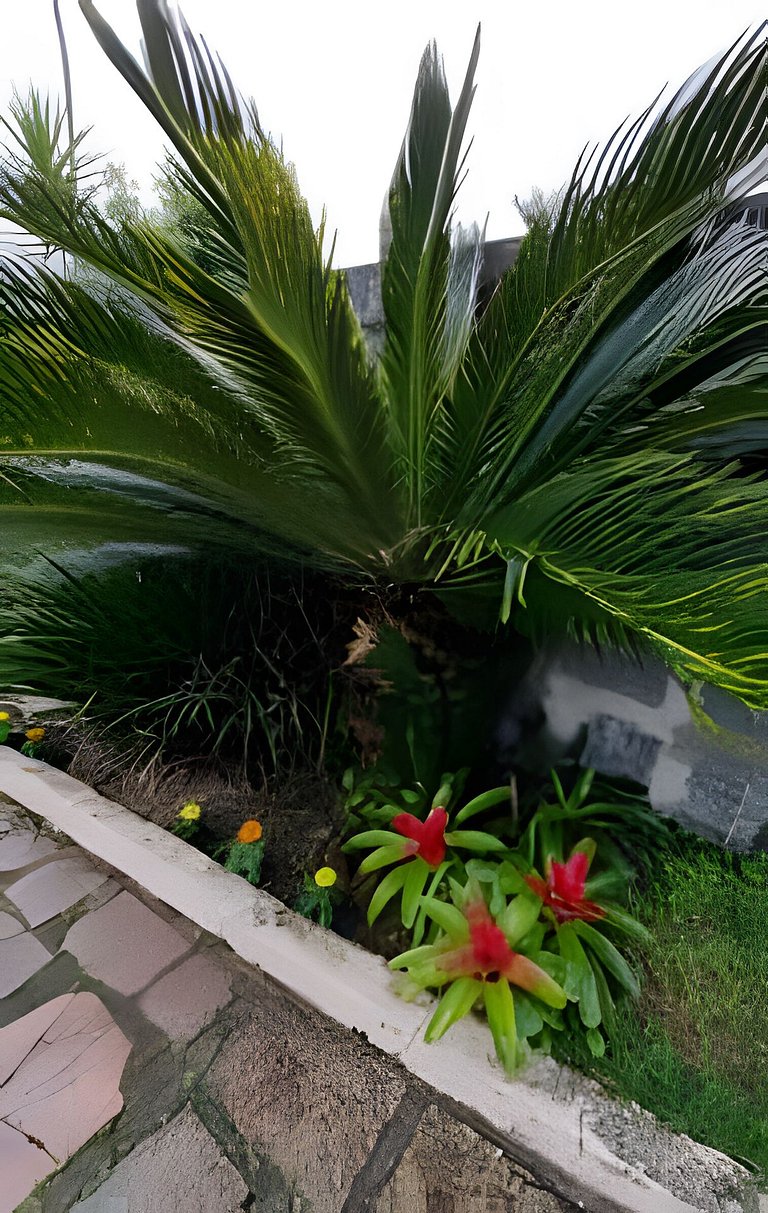 Casa Central ao lado do Zoo!