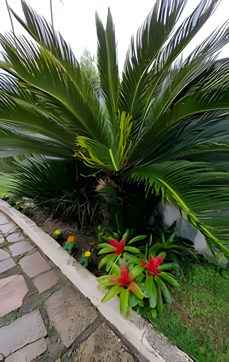 Casa Central ao lado do Zoo!