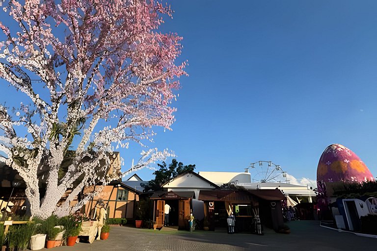 Loft Sofisticado no Centro de Pomerode (HB208)